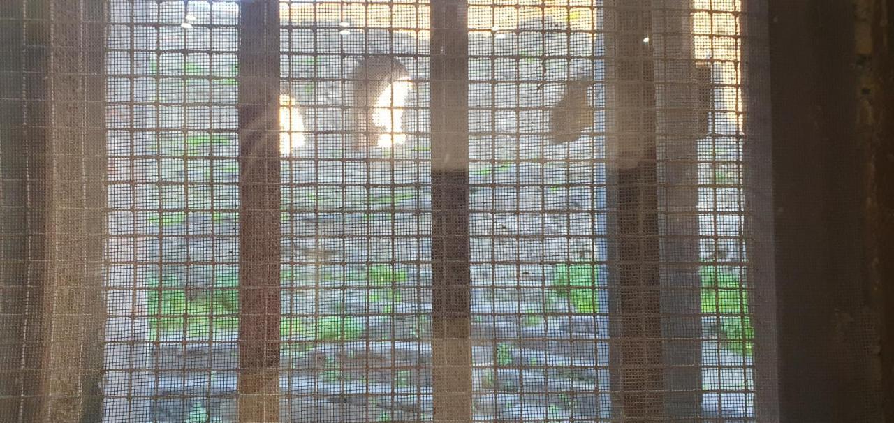 Domus Odeon La Casa Nel Parco Archeologico Di Catania Apartment ภายนอก รูปภาพ